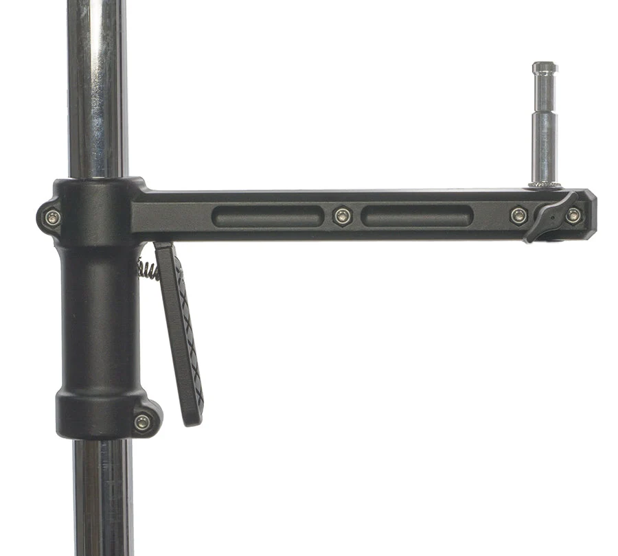 Cheetah Stand Pistol Stand - Image 8