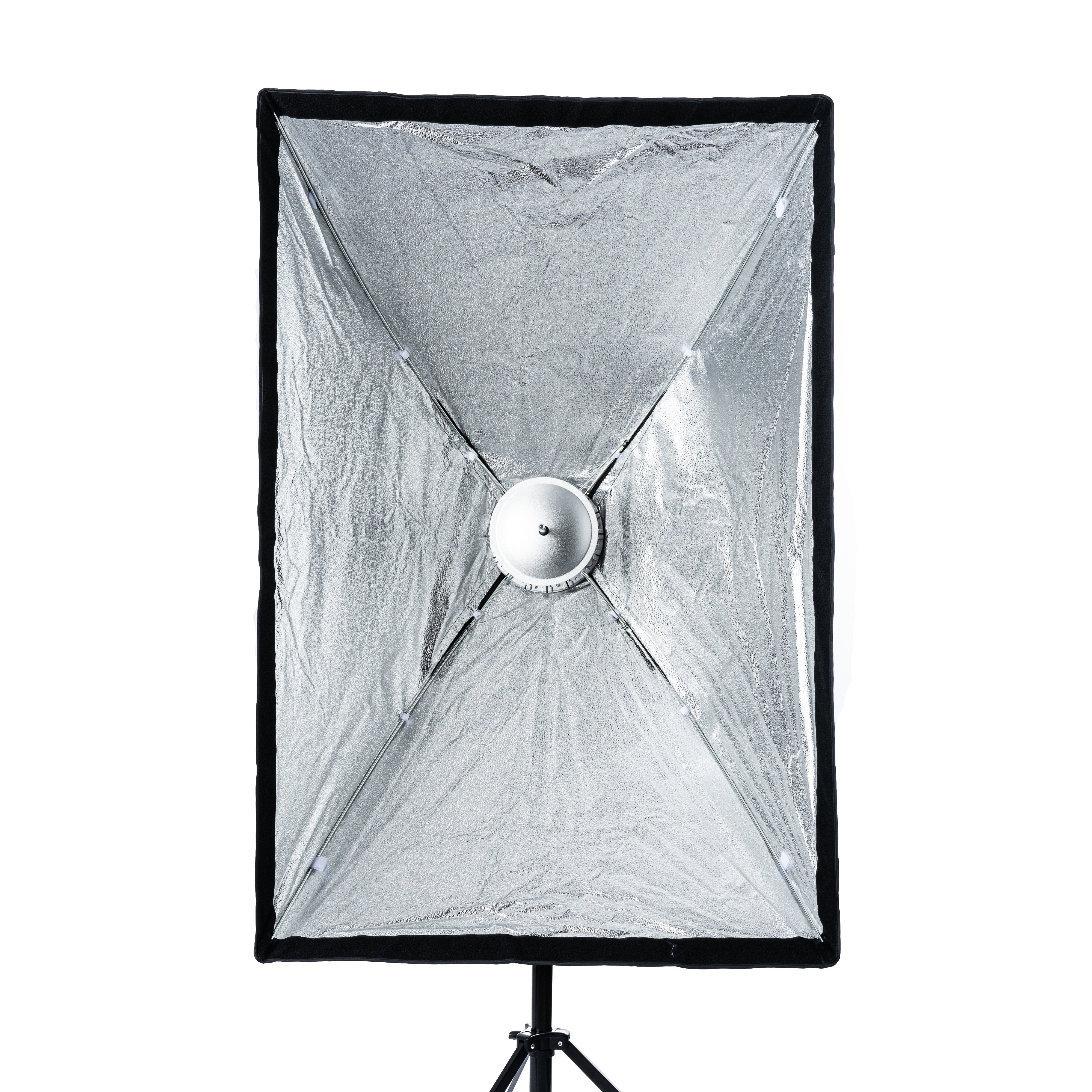 Cheetah Stand Window 32x48 Window Quick Softbox - Image 3