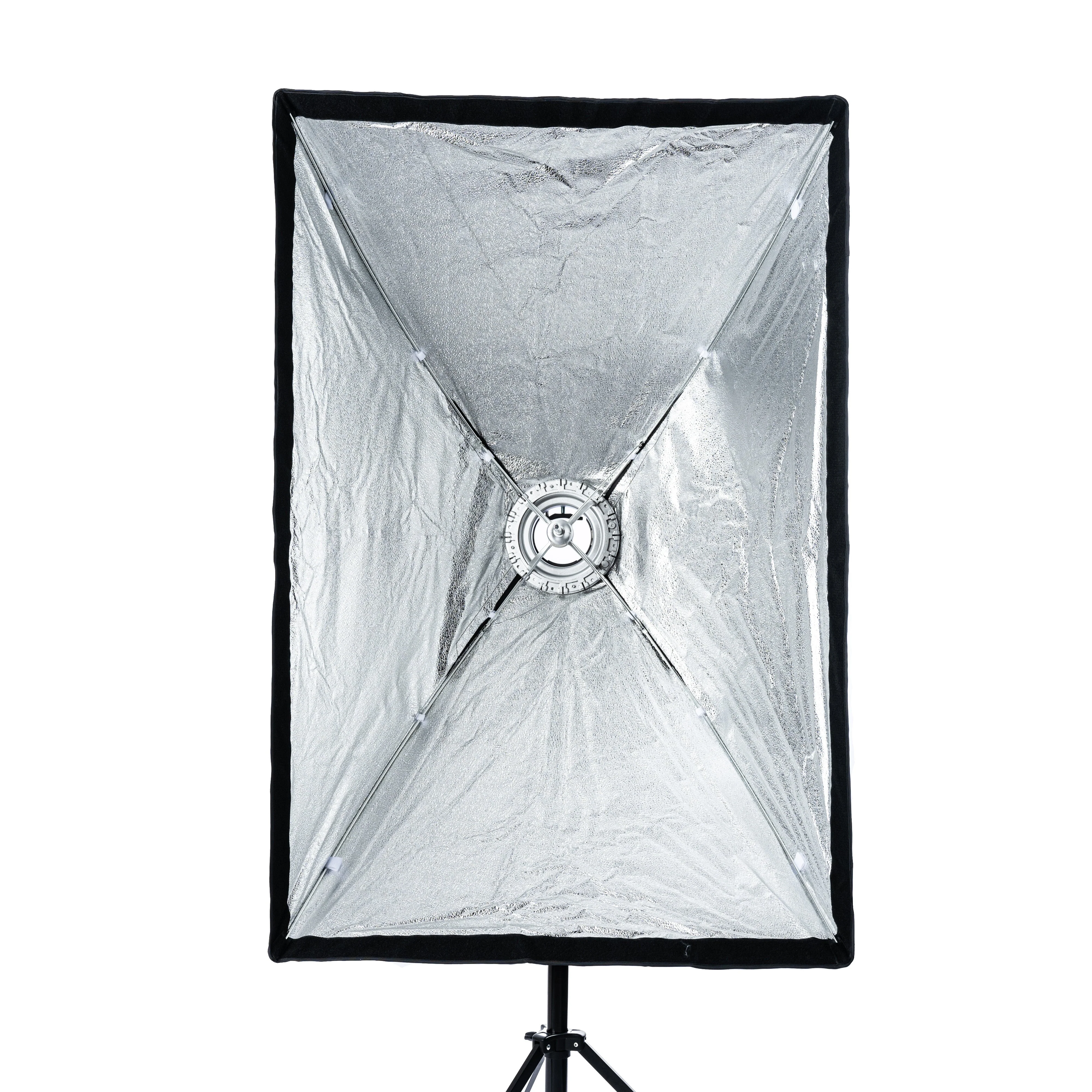 Cheetah Stand Window 32x48 Window Quick Softbox - Image 7