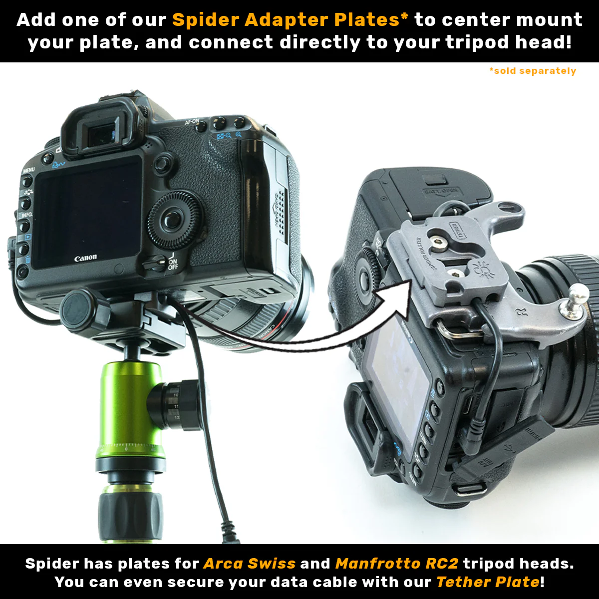 211: SpiderPro Holster + DSLR Camera Plate v2 - Image 6